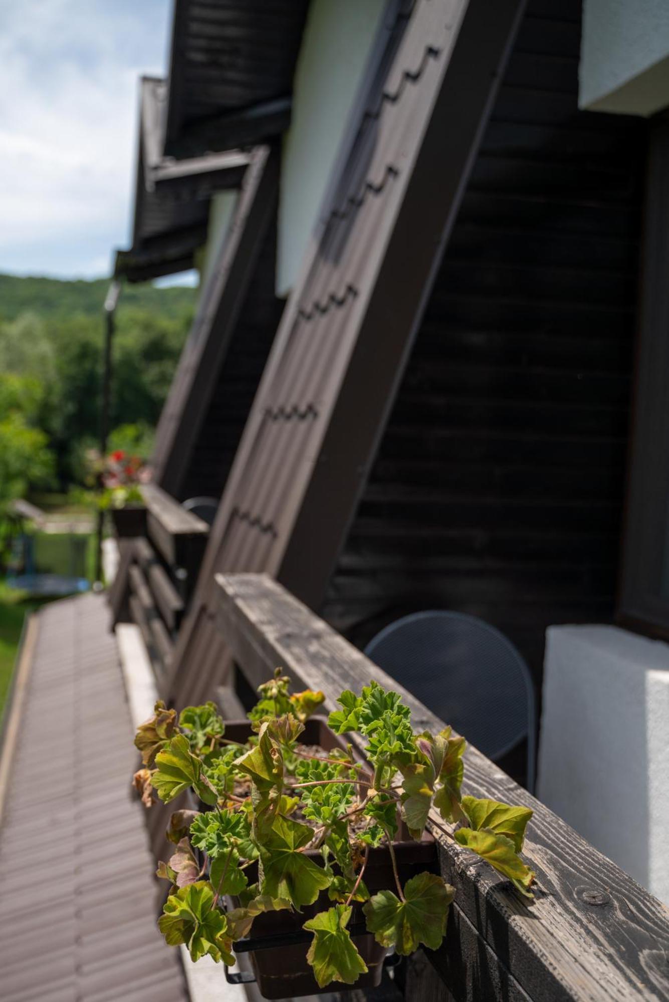 Din Natura Varbilau Buitenkant foto